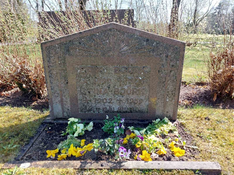 Grave number: HÖ 4  114, 115