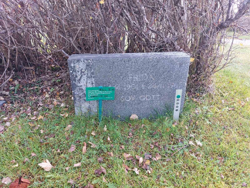 Grave number: RG F    41