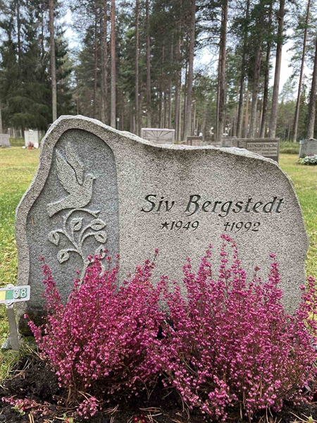Grave number: 3 1    38