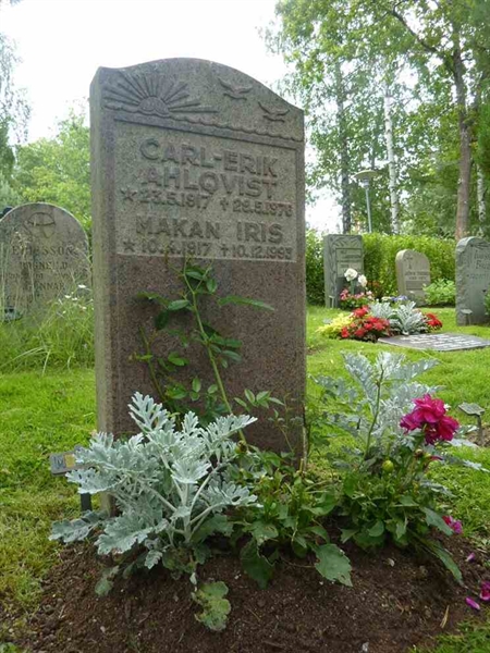 Grave number: 1 M  105