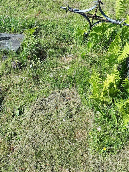 Hautatunnus: GK A 5   159M