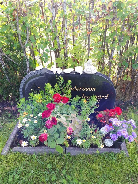 Gravnummer: NK F B   202