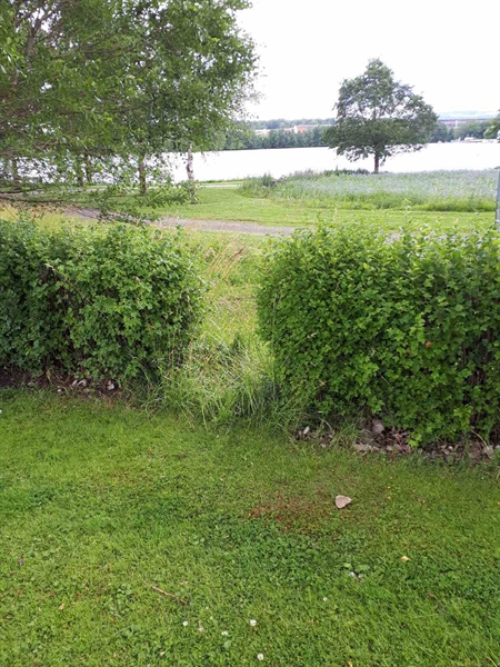 Gravnummer: GK F 5   539