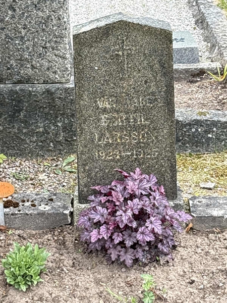 Grave number: SKF A   142