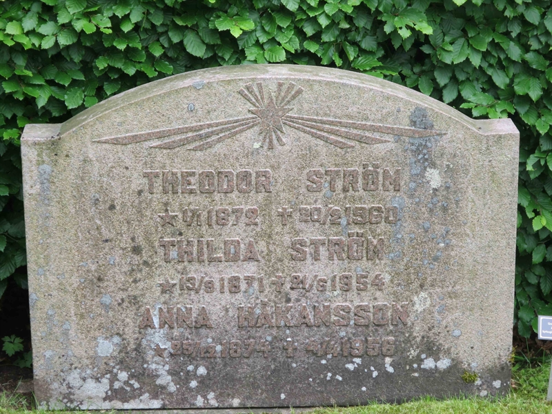 Grave number: HÖB 42    19