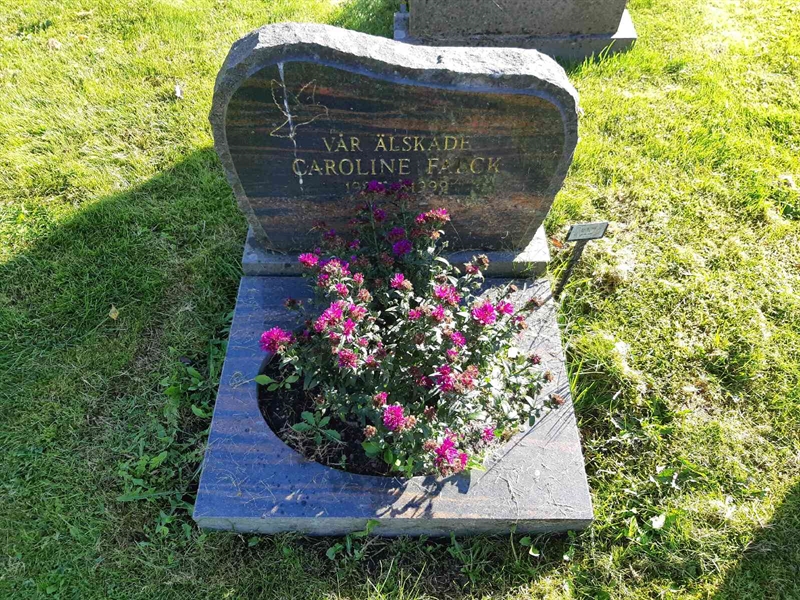 Grave number: Fr 8   208