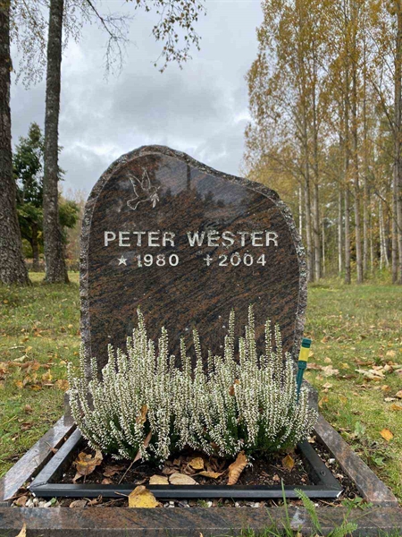 Grave number: 1 23    U18