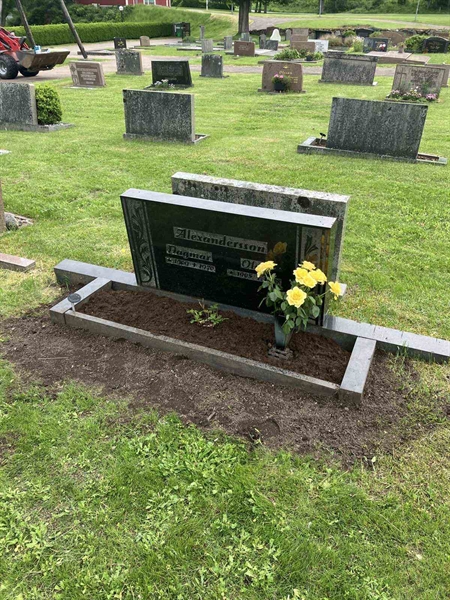 Gravnummer: 6 03    20-2