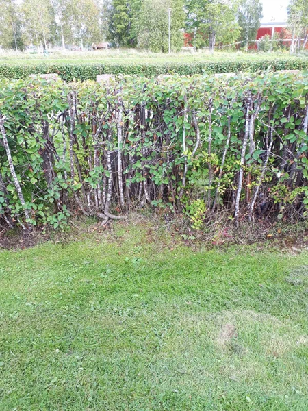 Grave number: NK F B   132