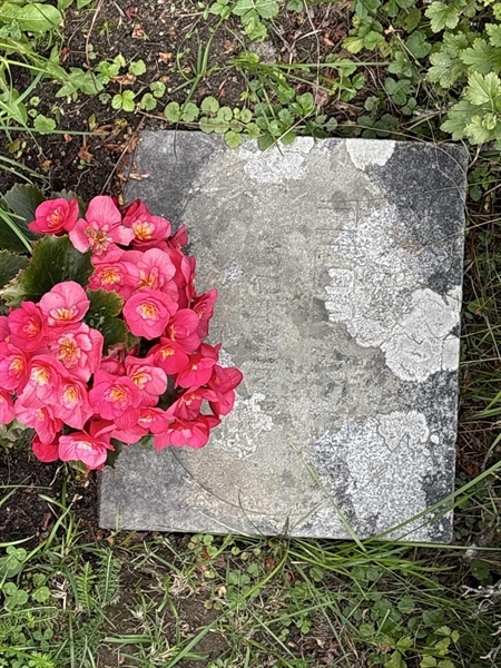 Grave number: IN 22   497