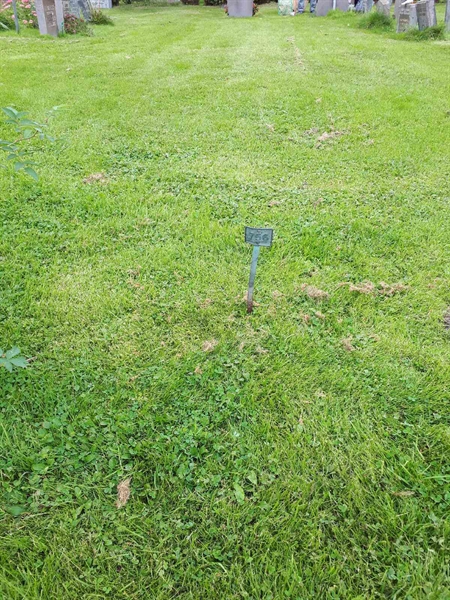 Hautatunnus: NK F B   756