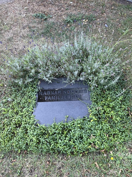 Grave number: NK X:u    73