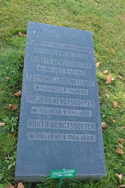 Grave number: TR 1A   296i