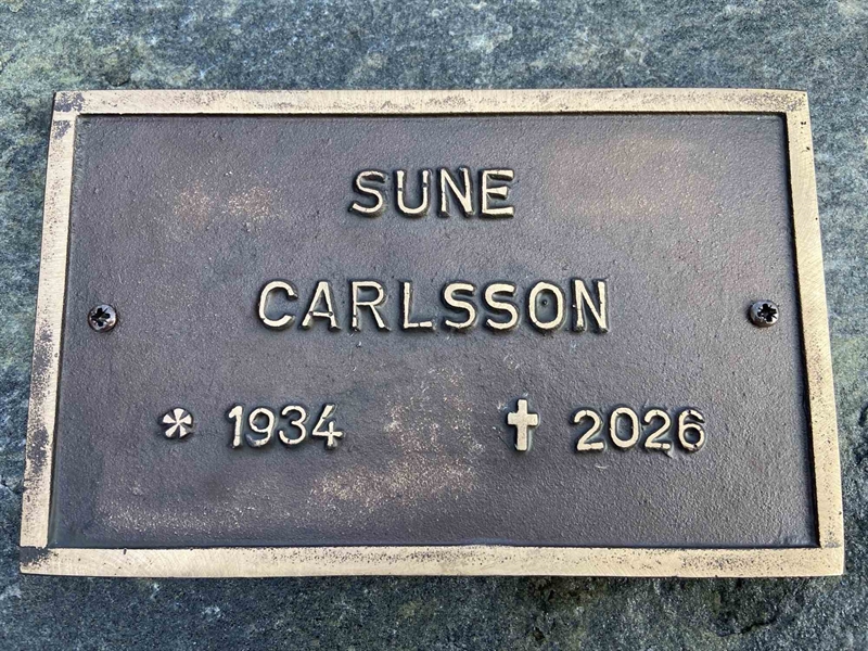 Grave number: 1 33     89