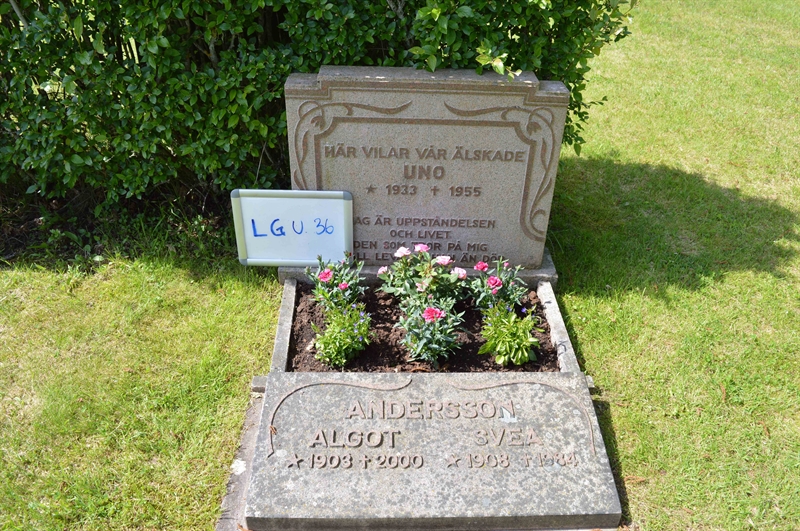Grave number: LG U    36