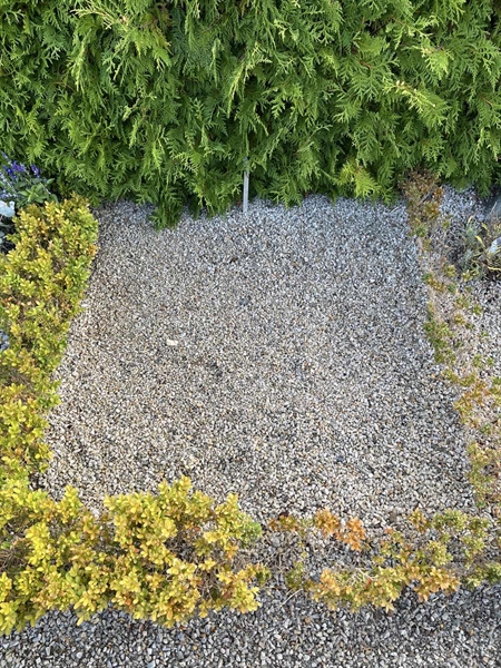 Grave number: NK Urn n    17
