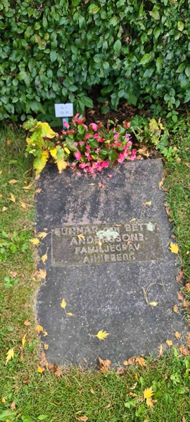 Grave number: M F  138, 139