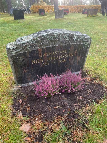 Hautatunnus: 1 KV13   260