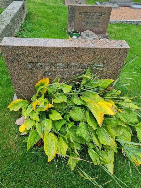 Grave number: KG 09   720