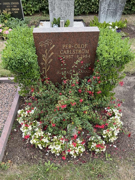Grave number: NK XX:u   340
