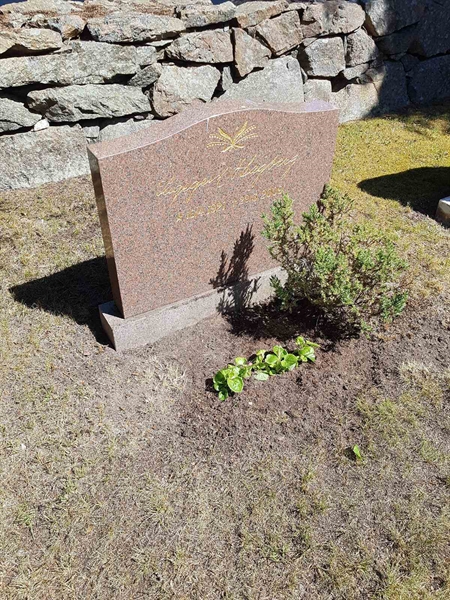 Grave number: 01  5044