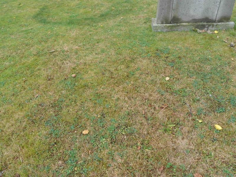 Grave number: SK B    50, 51