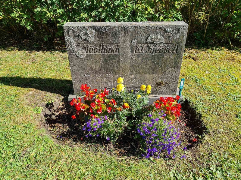 Grave number: Ö III   80