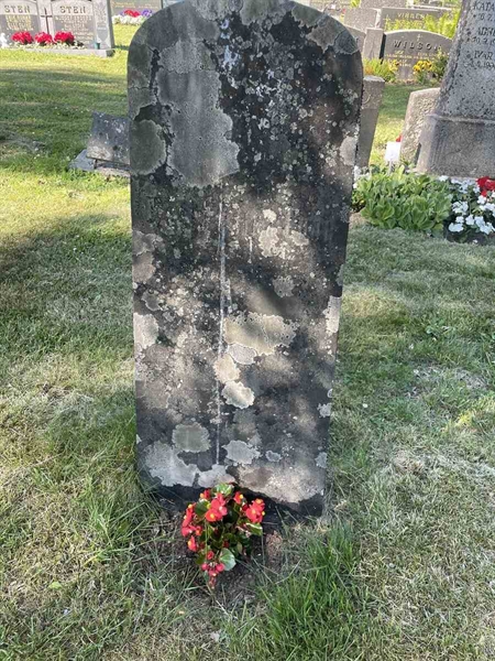 Grave number: N 5 3 339