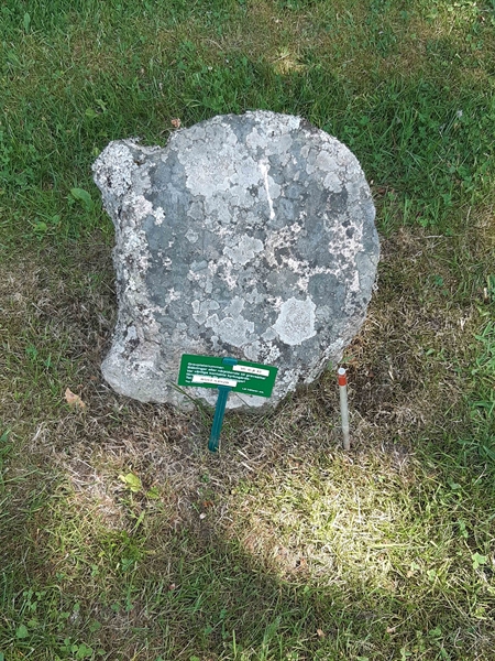 Grave number: VI Ö:A    42