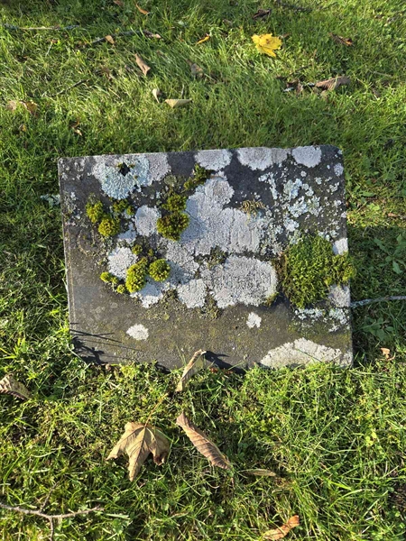 Grave number: Ö A C   941