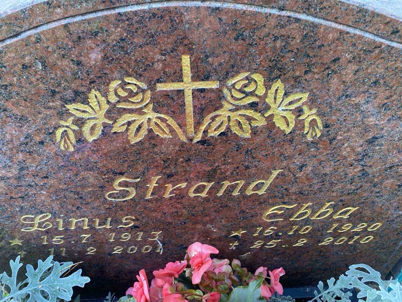 Grave number: 3 17   107