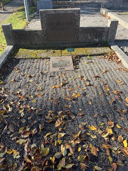 Hautatunnus: 1 F   196