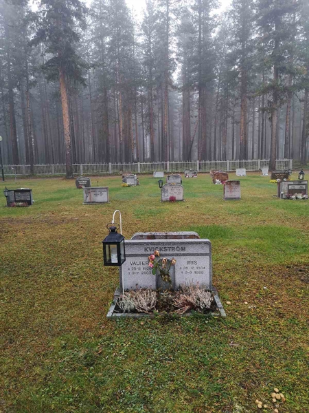 Hautatunnus: VLM 14    49-50