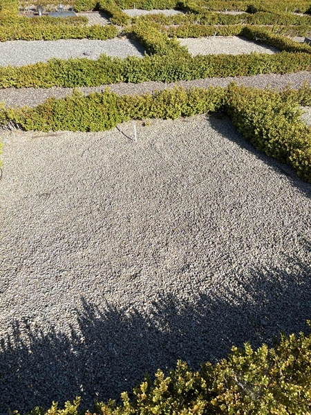 Grave number: NK E 84-85