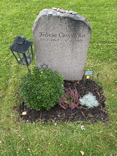 Hautatunnus: 2 C   569