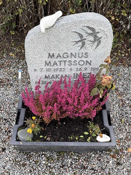 Grave number: 4 N ND   266