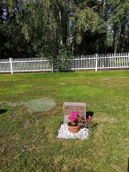 Gravnummer: POK 03     2