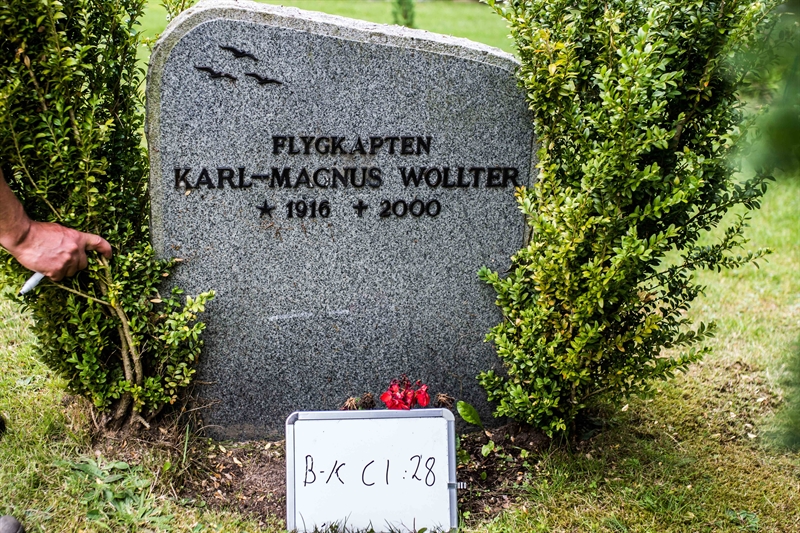 Hautatunnus: Bkl I C 28