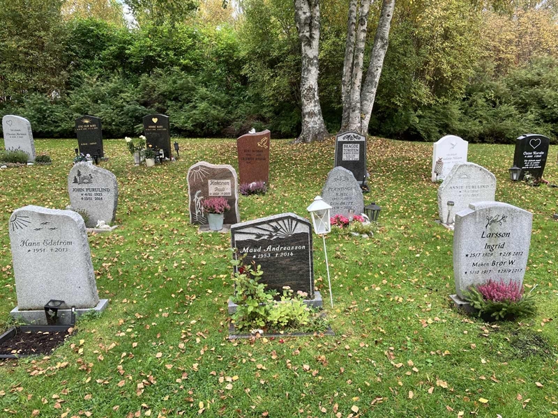 Grave number: 1 4  7481