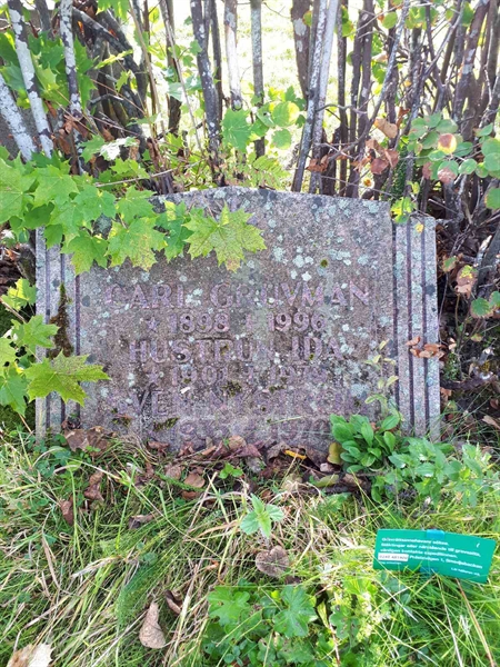 Hautatunnus: NK F B   200