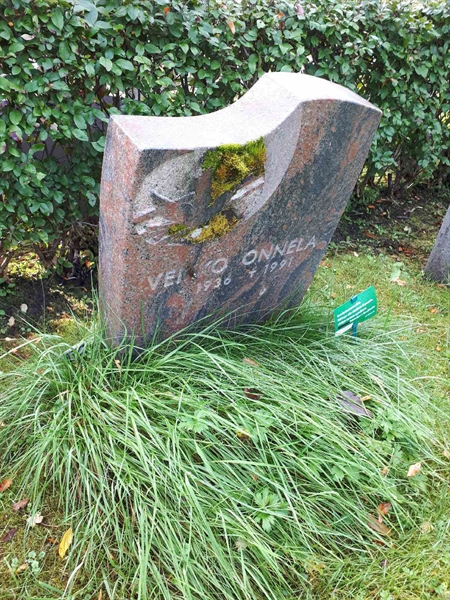 Hautatunnus: NK F D    43