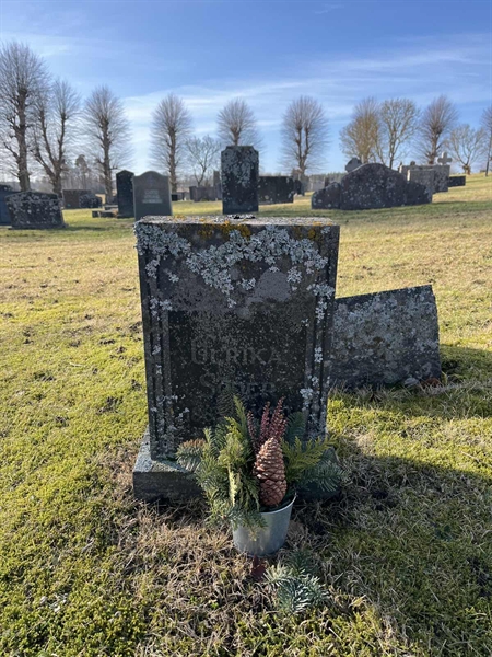 Hautatunnus: HA N    39