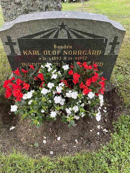 Gravnummer: N 4 3   406