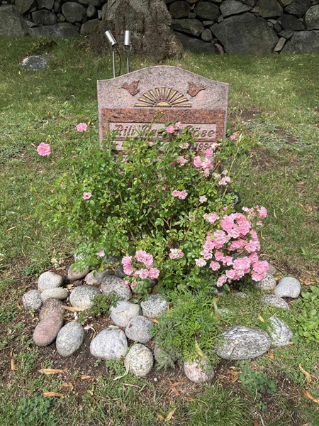 Grave number: 1 10    60