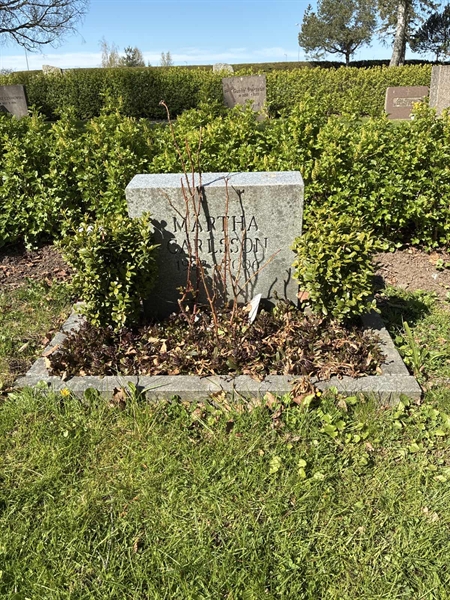 Hautatunnus: 22 A   119