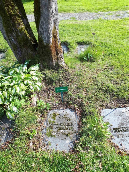 Gravnummer: NK A A   243