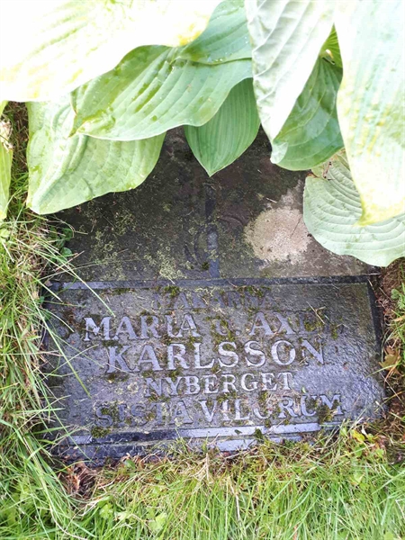 Gravnummer: NK F G   115