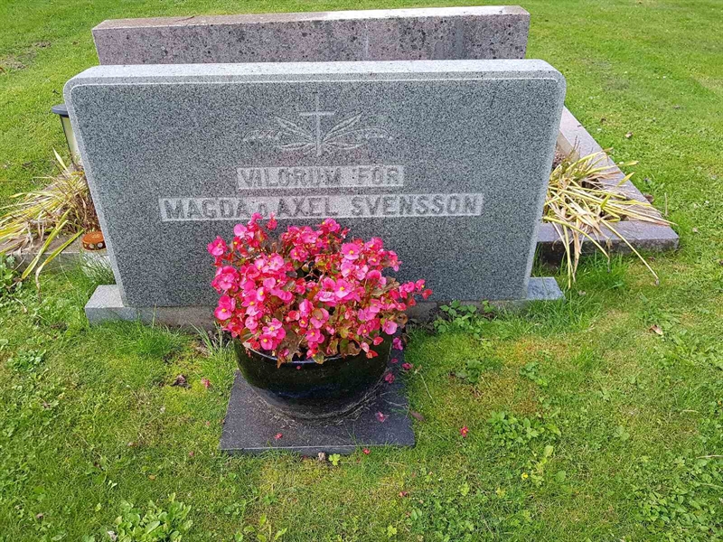 Grave number: 06 60329