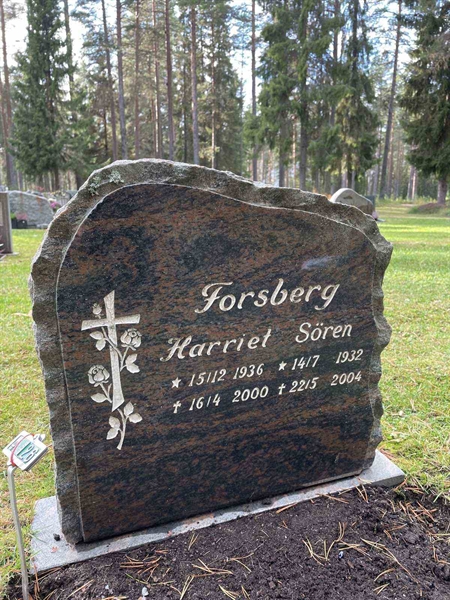 Grave number: 3 4   126