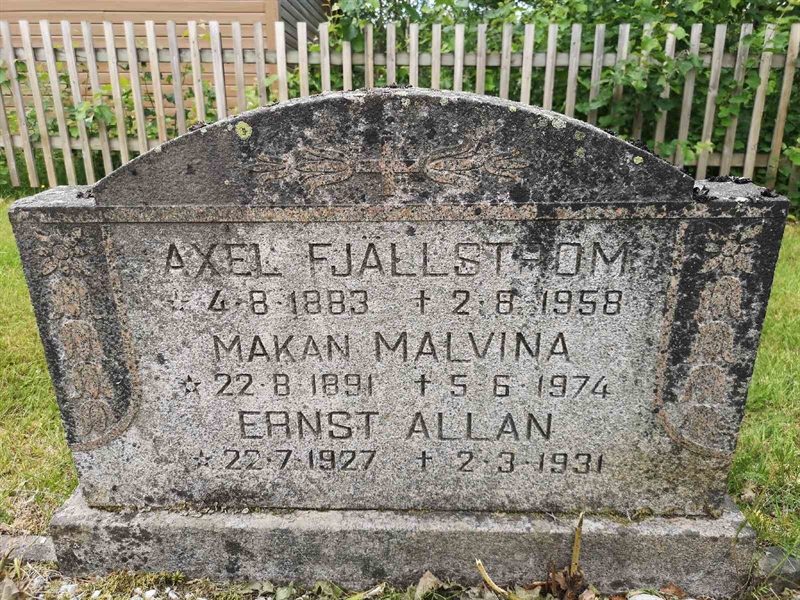 Hautatunnus: SK C     2